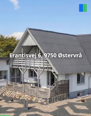 opslagsbillede
