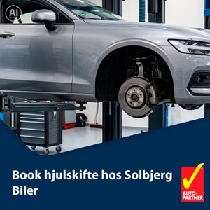 opslagsbillede