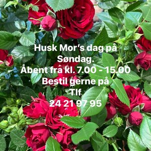 Opslagsbillede