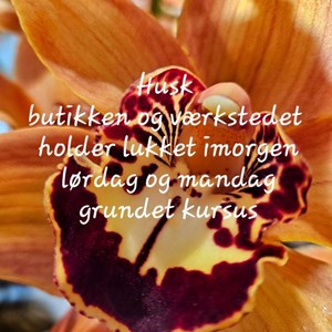 Opslagsbillede