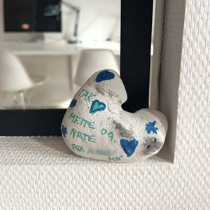 opslagsbillede