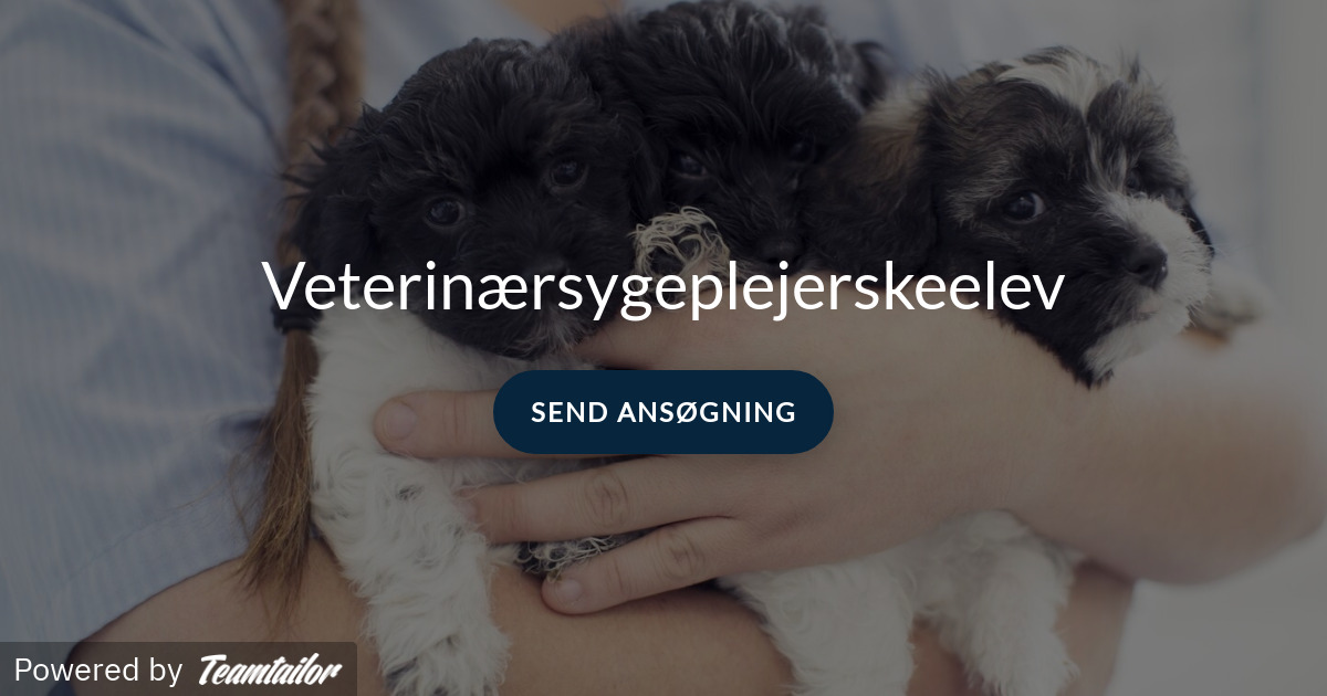 Opslagstavlen: Nyeste opdateringer fra Hjørring