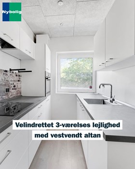 Opslagsbillede