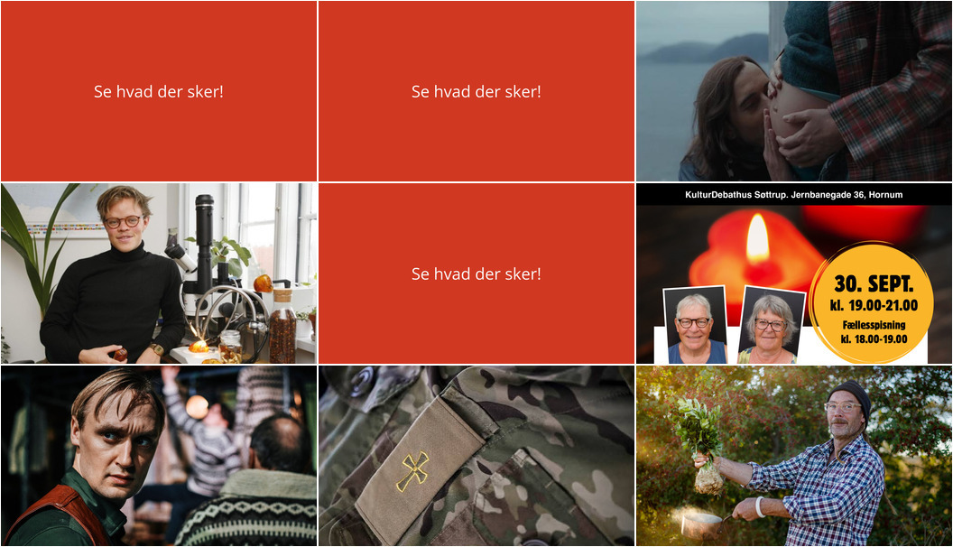 Oplev kulturelle arrangementer i Aars: Fra teaterforestillinger til foredrag om rav