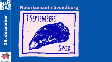 Årets sidste koncert under åben himmel i Svendborg