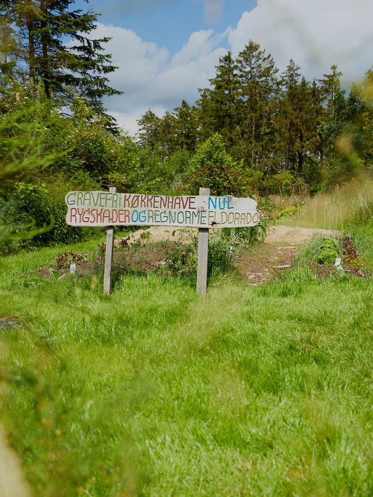 Foredrag om vandudnyttelse i haven på Naturplanteskolen