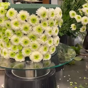 Opslagsbillede