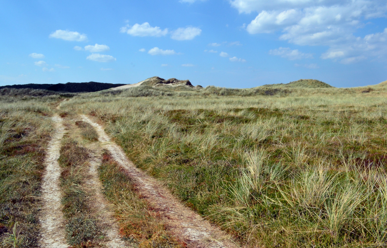 Nationalparkcenter Thy sæsonåbner 