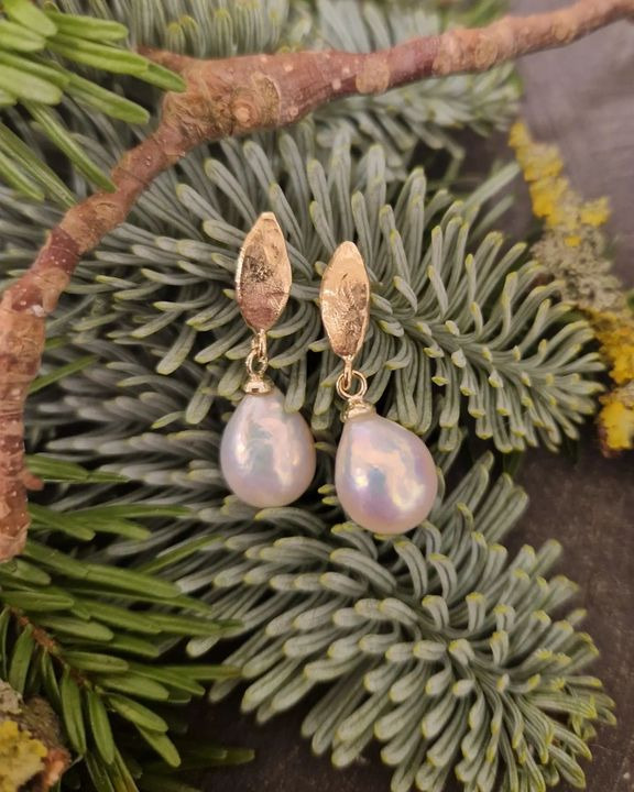 Opslagstavlen: Nyeste opdateringer fra Skive