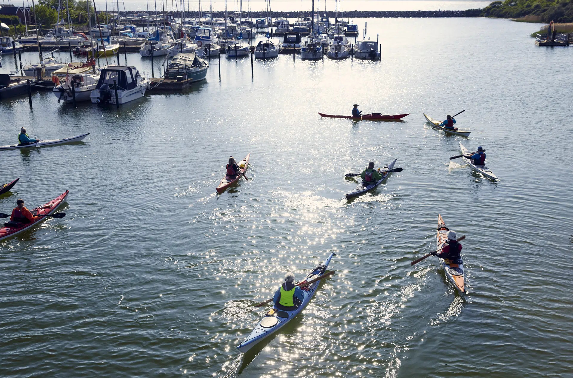 Største undersøgelse af bevægelsesvaner kortlægger fysisk aktivitet i Aalborg Kommune
