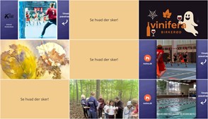 Begivenheder i Birkerød denne weekend: Håndbold, (u)hyggelig Hallowine og kreativ akvarel