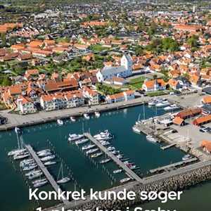 Opslagsbillede