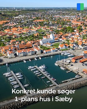 Opslagsbillede