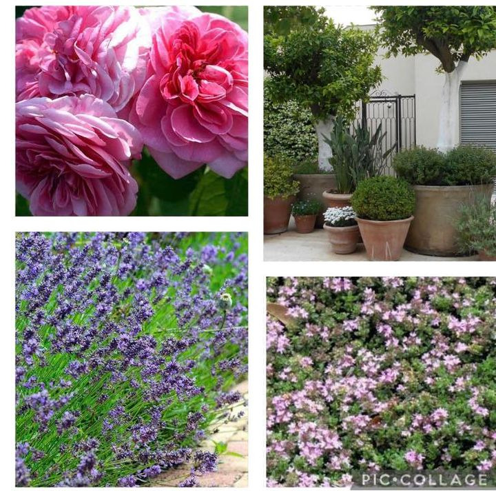 Opdatér dig her: Det nyeste fra Hobro