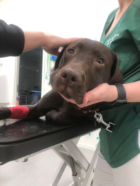 Opdatér dig her: Det nyeste fra Herning