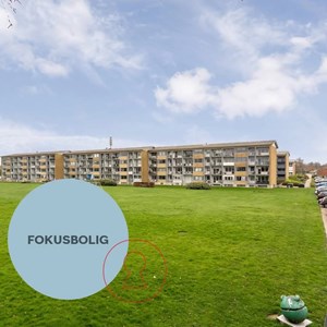 Opslagsbillede