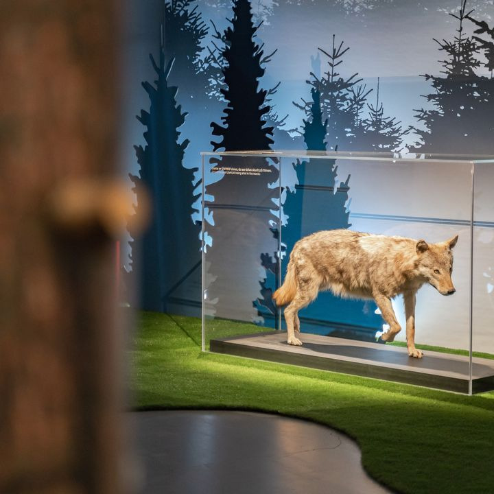 Se dagens updates fra Holstebro her