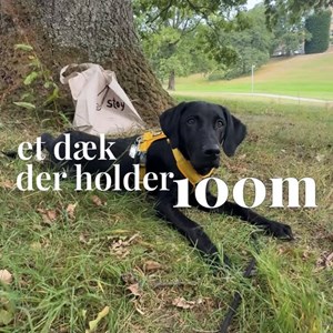 Opslagsbillede