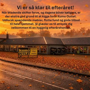 Opslagsbillede