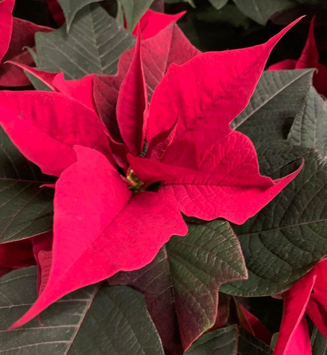 Hold dig ajour med dagens opdateringer fra Brønderslev