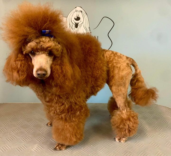 Hold trit med lokalområdet: Nyt fra Sæby