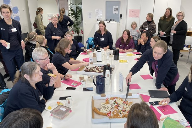 Hjælp i hjemmet i Seest kommer nu fra faste teams