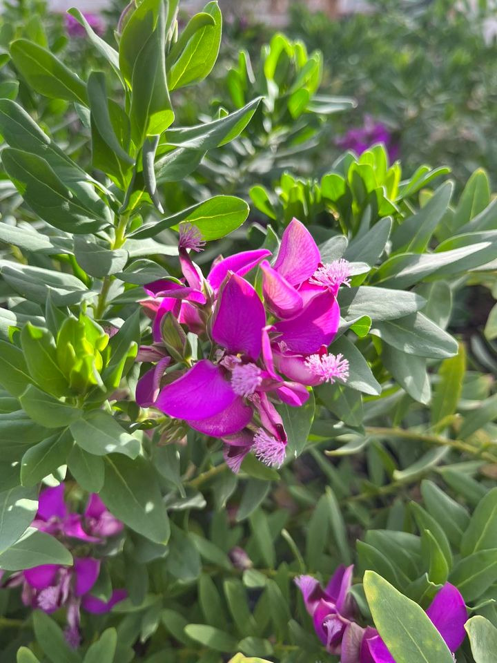 Se dagens updates fra Horsens her