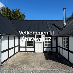 Opslagsbillede