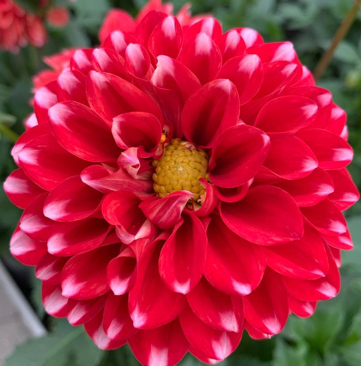 Opslagstavlen: Nyeste opdateringer fra Brønderslev