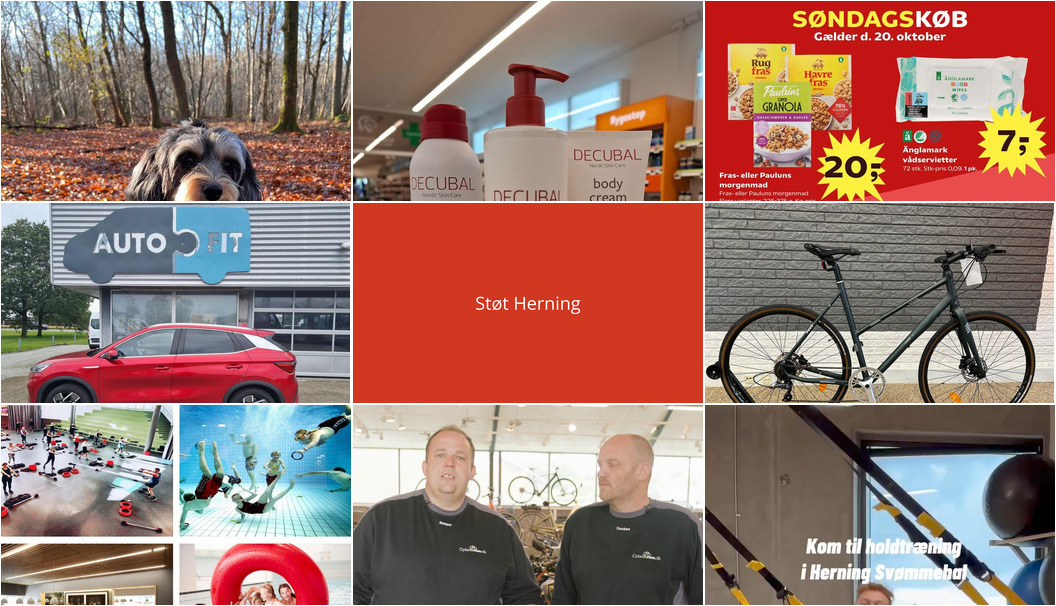 Nyt fra HENNING JØRGENSEN CYKLER APS, Dyrehospitalet Heden ApS, DGI Huset Herning og 5 andre