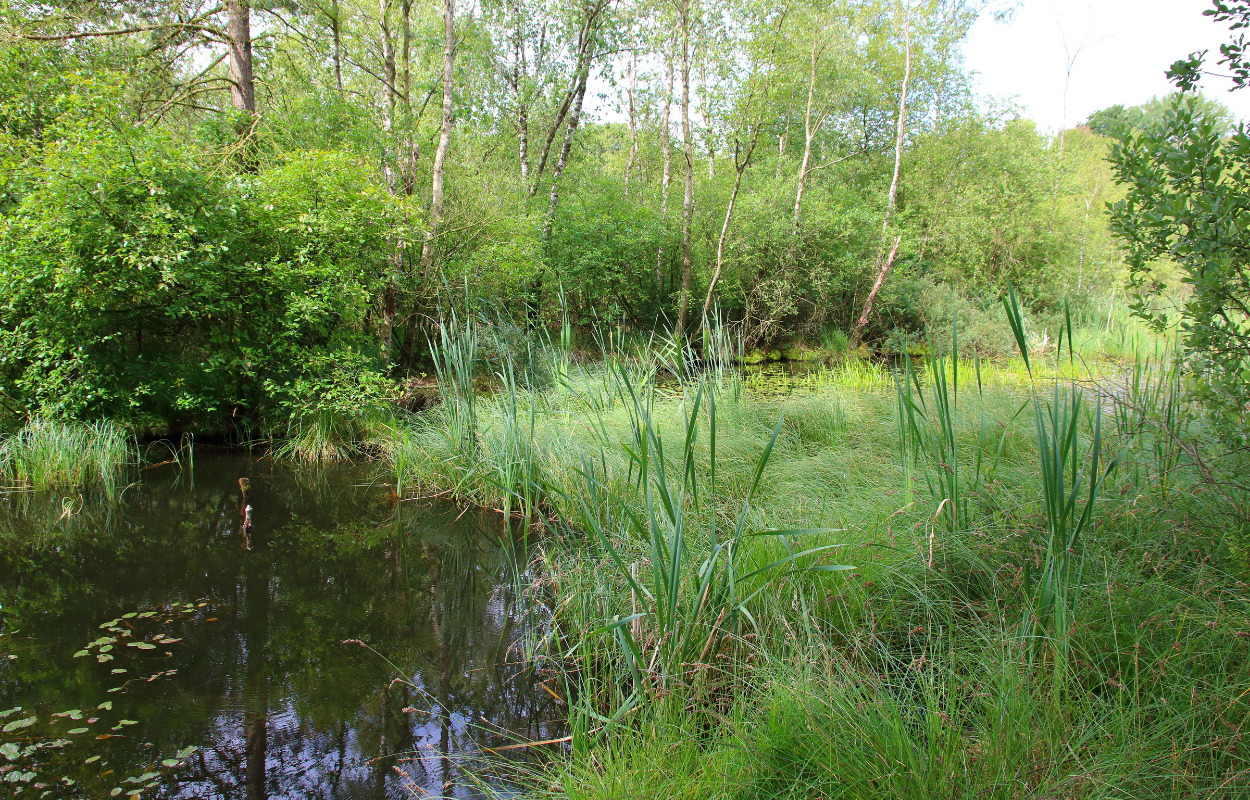 Strategimøde om Nørreådalens fremtid