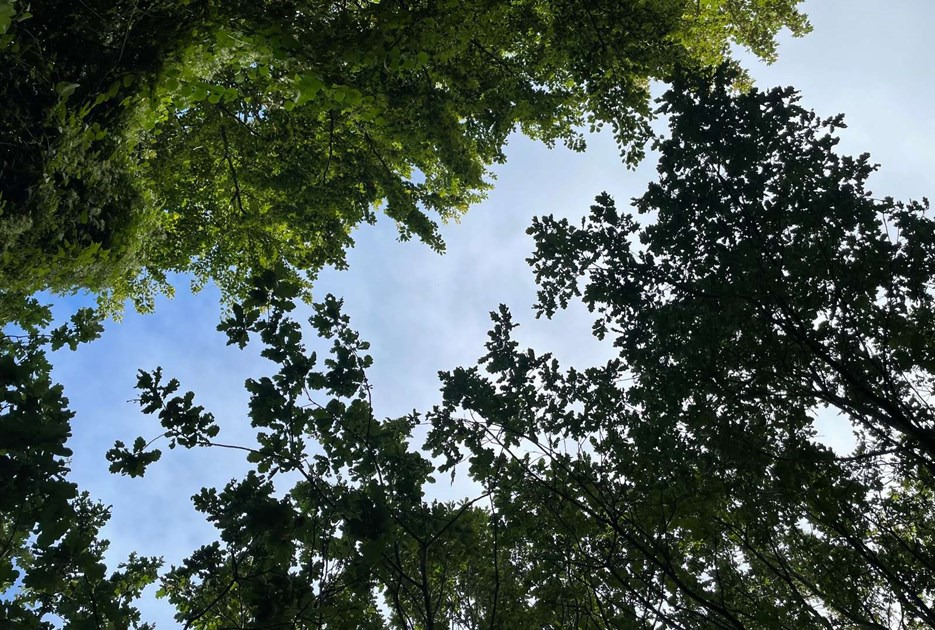 Stolt leder: Udvikling og Relation Skive er nomineret til Socialpædagogernes Pris 2022