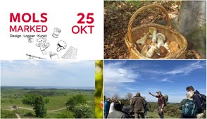 Opdag Knebel denne weekend: Markeder, svampeture og naturoplevelser