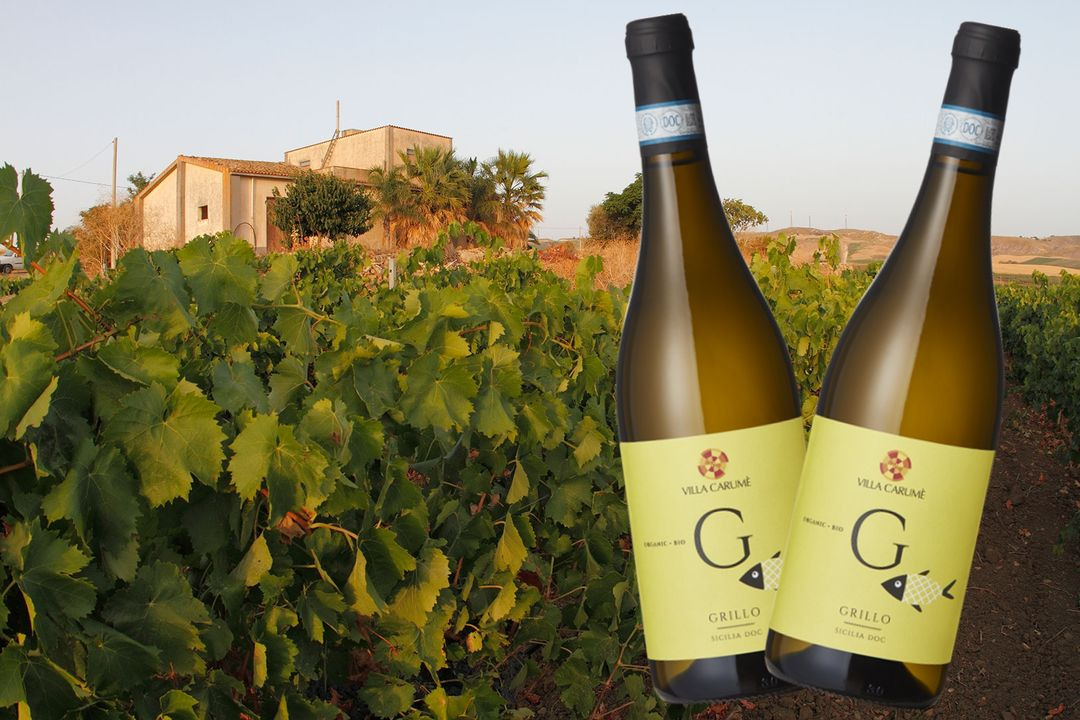 Hold dig ajour med dagens opdateringer fra Støvring