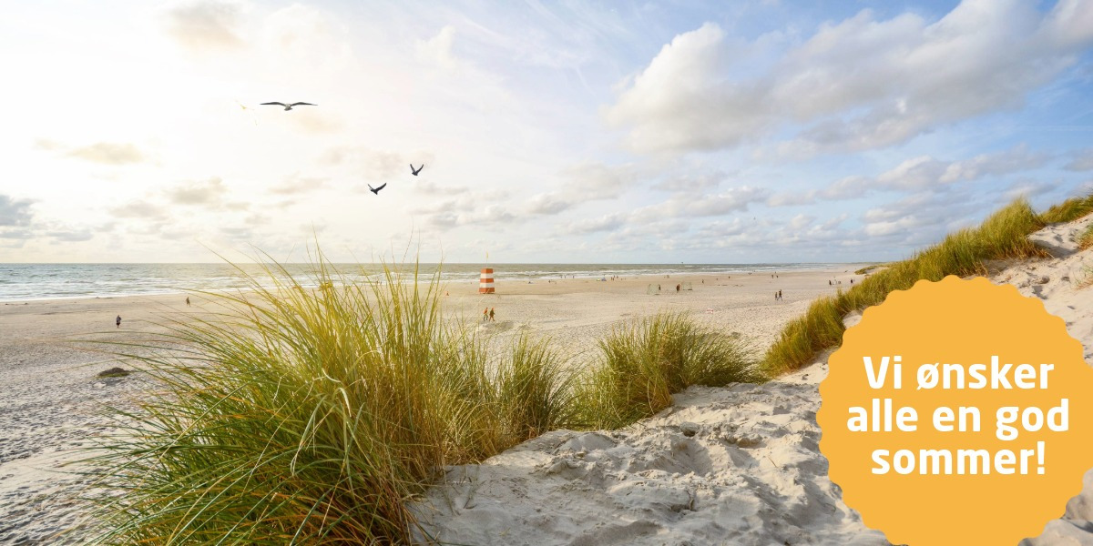 VVS EKSPRESSEN ApS ønsker en skøn sommer og står klar til at hjælpe med projekter i ferien