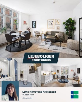 Opslagsbillede