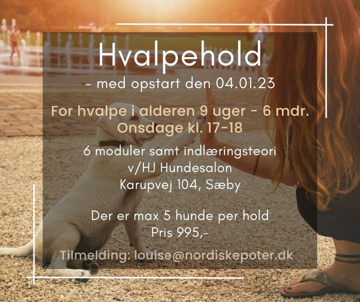 Opslagstavlen: Nyeste opdateringer fra Sæby