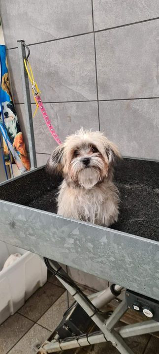 Nyt på opslagstavlen i Sæby