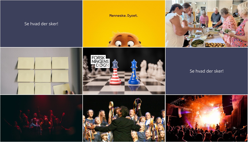 Ugen i Greve: Filmvisning, fællesspisning og koncerter