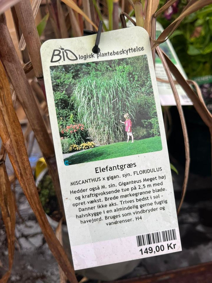 En finger på pulsen i Odder