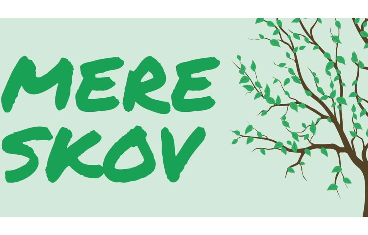 Hvad skal to nye klimaskove hedde?