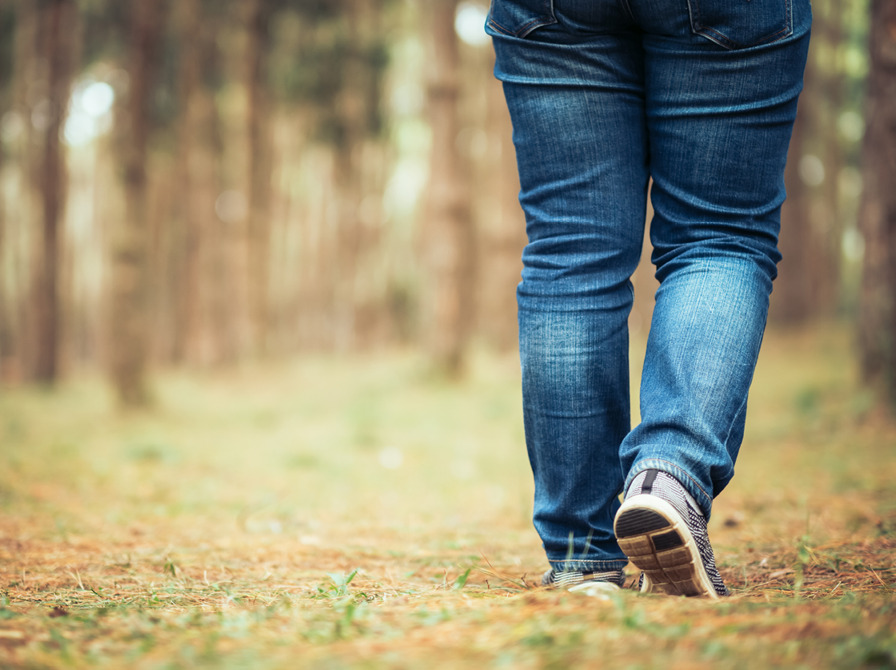 Oplev naturen og litteraturen på en unik gåtur i Husby