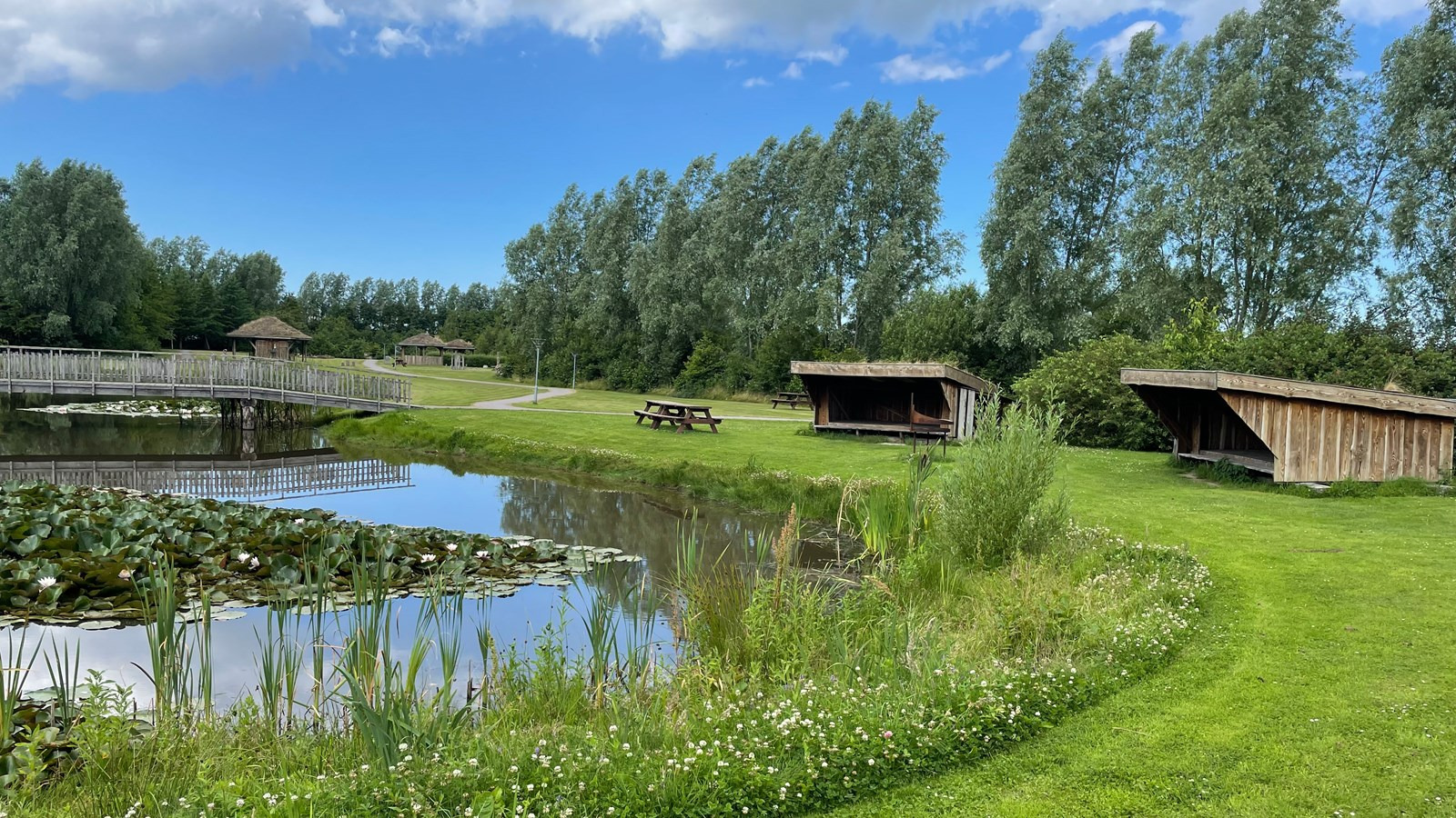 Peter Otto er chef for kultur, fritid og landdistrikter