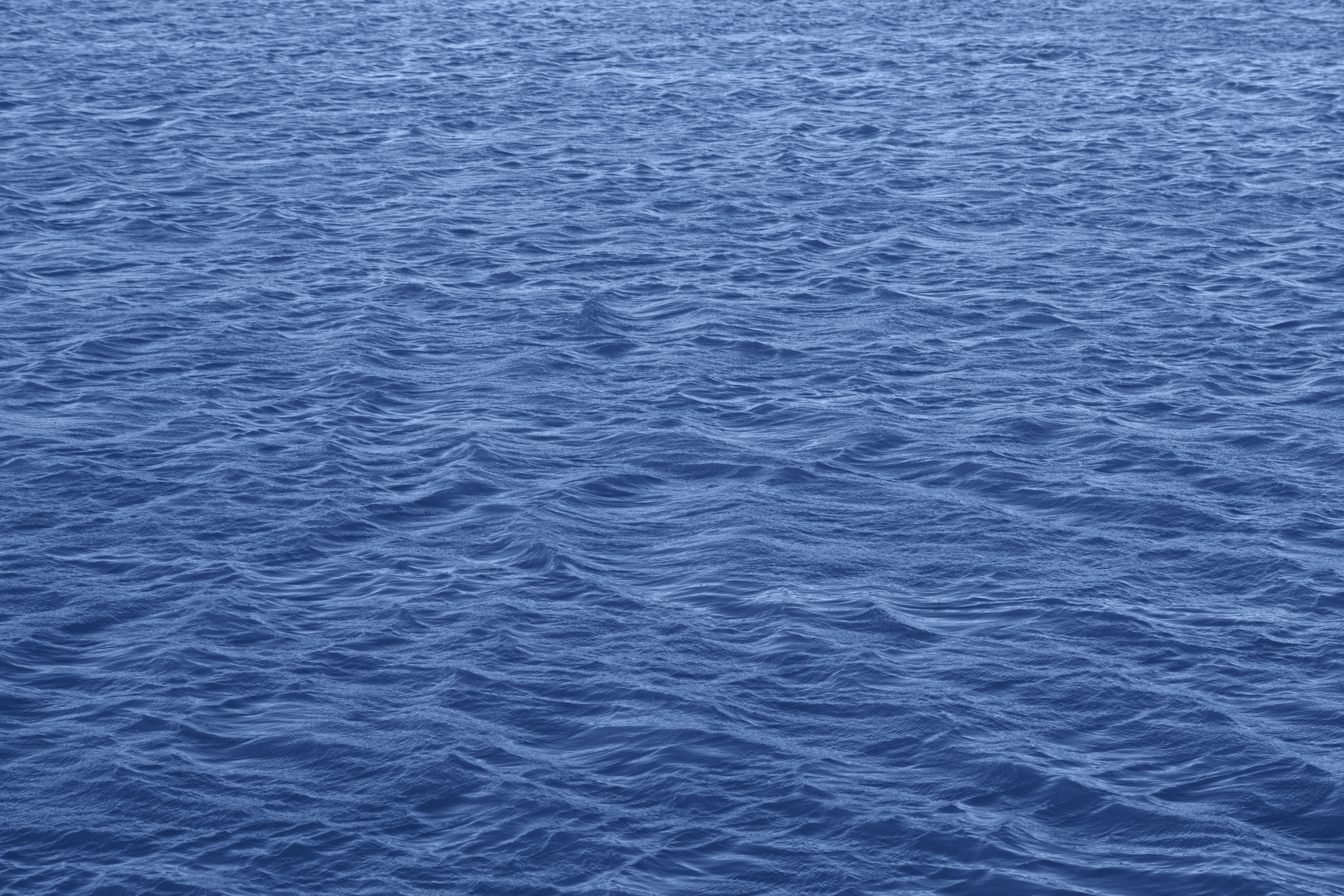 Badeadvarsel ved Kongsdal: Forhøjede bakterieniveauer opdages i vandet