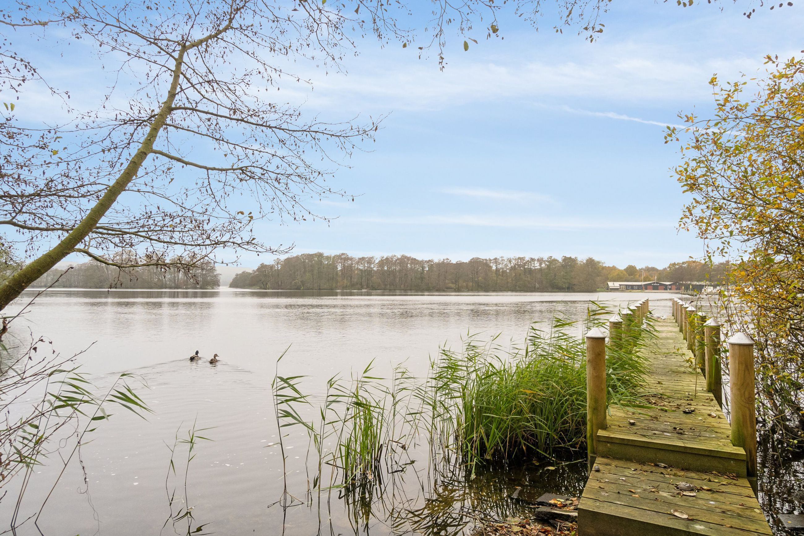 Luksusbolig netop kommet til salg i Ry: Se hvad du skal smide for Rys dyreste adresser her