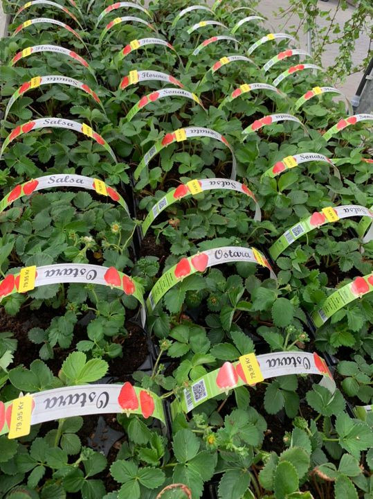 Det nyeste på Brønderslevs opslagstavle