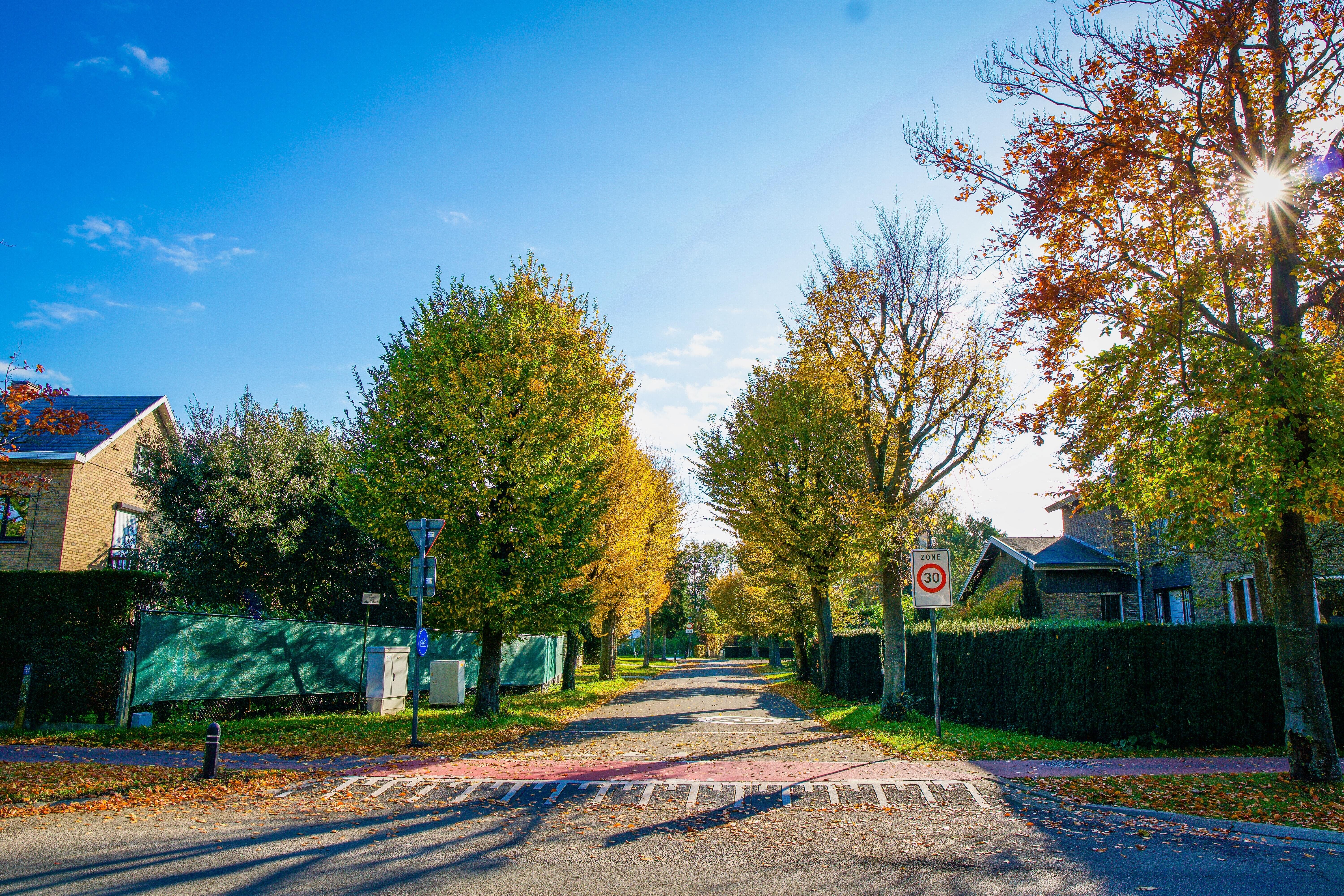 Årets Villavej 2021: Konkurrencen er skudt i gang 