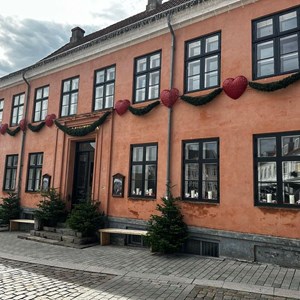 Opslagsbillede