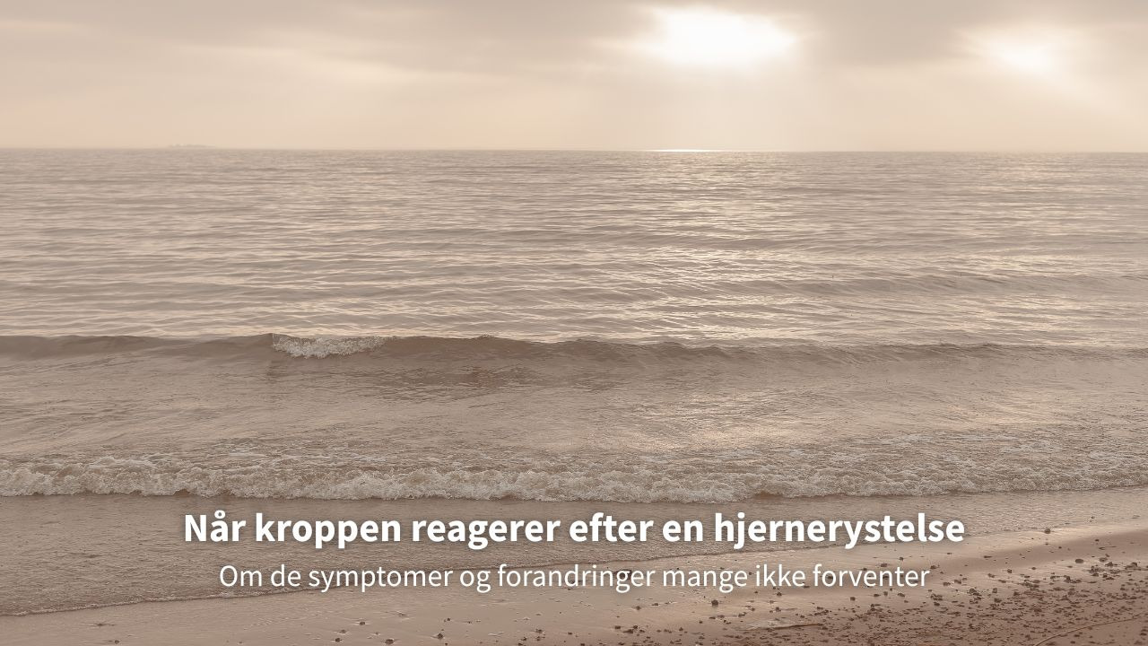 Hjernerystelse: Symptomerne jeg oftest ser – og hvad der følger bagefter