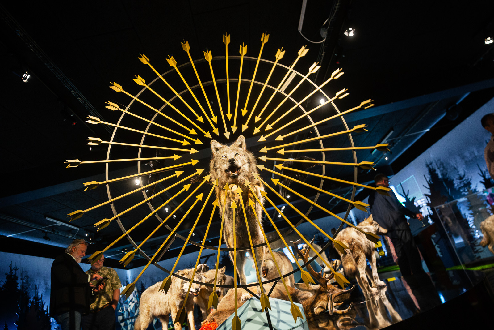 Hvem er Peter uden ulven?